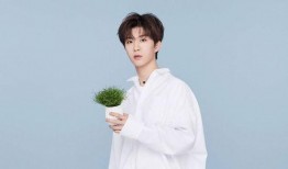 任嘉伦范丞丞爆料视频在线观看,揭秘幕后故事与精彩瞬间