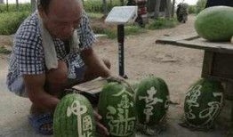 宜丰网红吃瓜事件真相视频,揭秘真相背后的惊人内幕